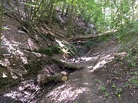 Seelenbach dal 2