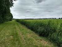 graspad tussen akkers en bos