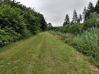 graspad tussen bos en vaart
