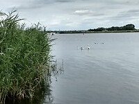 Nijkerkernauw 2
