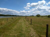Graspad langs Nederrijn