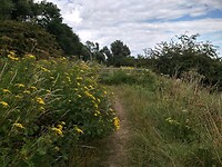 Prachtige Bovenste Polder