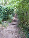 IMG_20220716_094644677