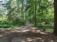 IMG_20220716_104049600_HDR