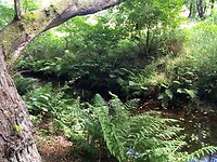 IMG_20220716_113226969_BURST000_COVER_TOP