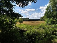 IMG_20220716_113419283_HDR