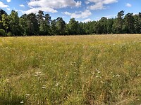 IMG_20220716_122541785_HDR