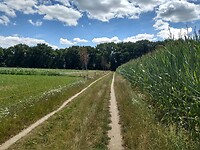 IMG_20220716_142752616_HDR