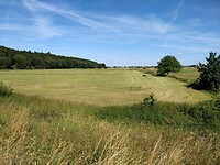 IMG_20220716_162110447