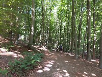 IMG_20220716_162652129