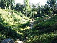 IMG_20220716_163951494
