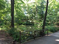 IMG_20220716_174134046