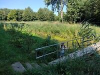 IMG-20220814-WA0001