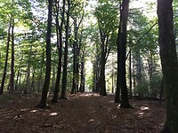 landgoed Groevenbeek 1