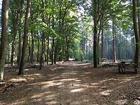 landgoed Groevenbeek 2