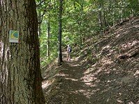 Op de Eifel steig