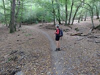 Prachtig Lorbachtal