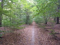 Begin van het Lorbachtal