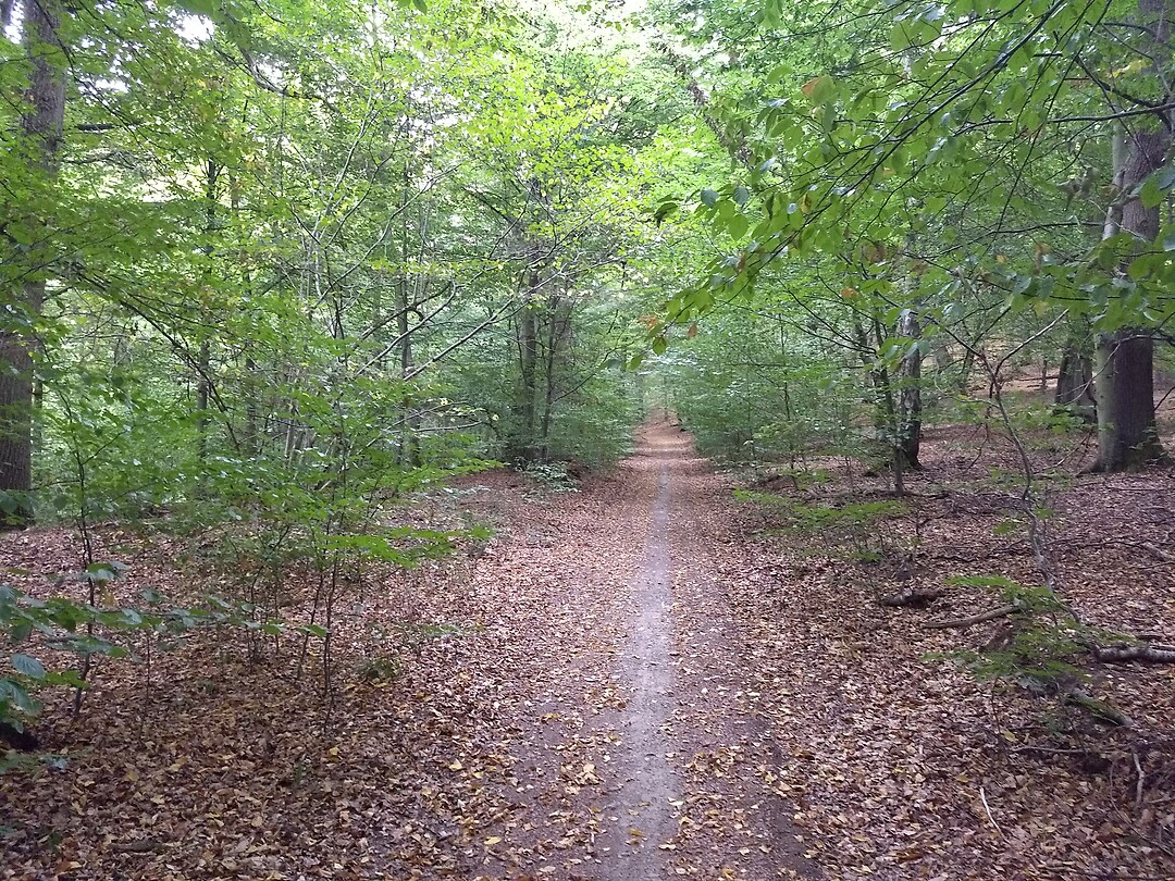 Begin van het Lorbachtal