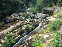 Steiniger Renne