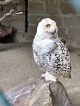 IMG_20220902_133041944_HDR