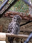 IMG_20220902_133346029