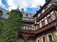 IMG_20220902_142839049_HDR