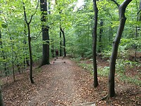 IMG_20220902_131347538