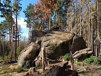 Froschfelsen