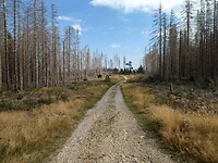 Richting Plessenburg
