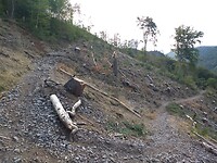 Leuke afdaling in Ilsetal