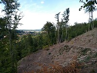 Prachtig pad naar Ilsenburg