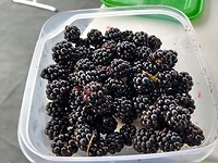 IMG_20220904_174428359_HDR