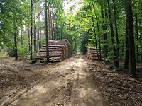 IMG_20220907_134319784
