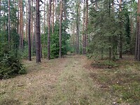IMG_20220907_134455420