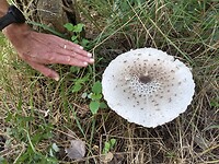 IMG_20220907_110652170_HDR