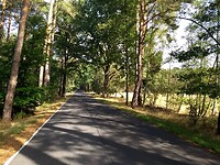 IMG_20220907_103319942