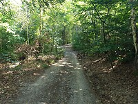 IMG_20220907_110135800