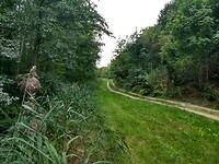 IMG_20220907_115641784_HDR