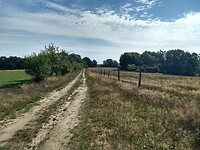 IMG_20220907_105700157_HDR