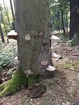 IMG_20220907_131754835