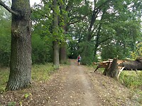 IMG_20220907_115806941