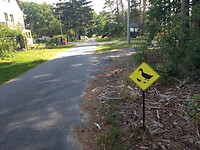 IMG_20220907_105412373