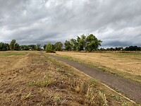 Uiterwaarden van de Elbe met Elberadweg