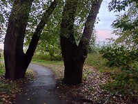 Elberadweg