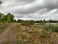 Uiterwaarden Elbe