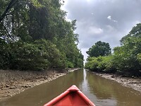 Terug richting Nickerie rivier