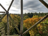 Uitzichttoren Berg en Bos