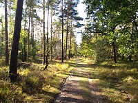 Orderbos
