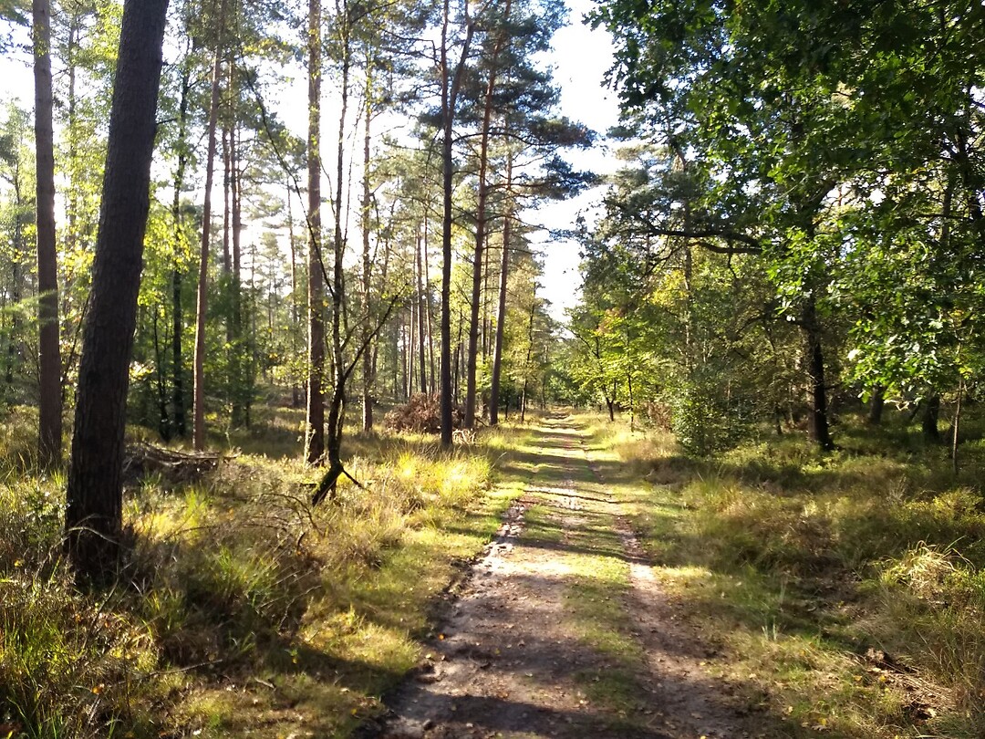 Orderbos